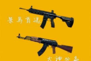 国外大神体验国产步枪视频,国外大神亲身体验，揭秘国产利器魅力