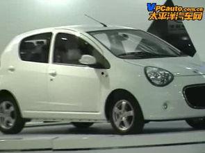 国产车展熊猫视频