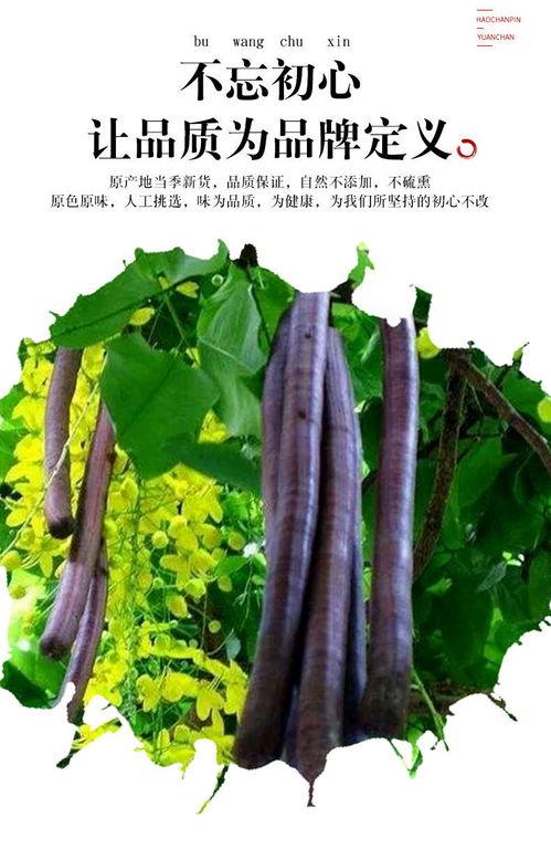 国产植物香肠视频网,绿色健康美食新潮流