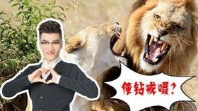 搞笑丧尸片视频国产片