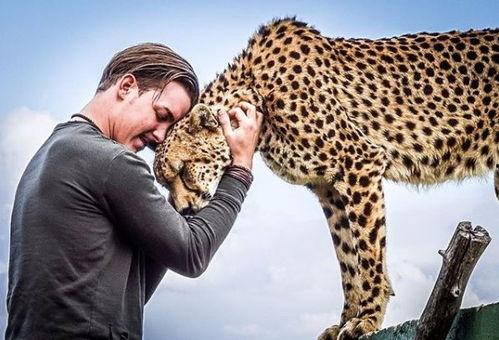 国产瑞豹和国外对比视频,性能与品质的较量