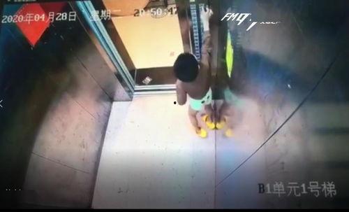 国产sm主人调教男m视频国产,揭秘国产生态下的SM文化现象