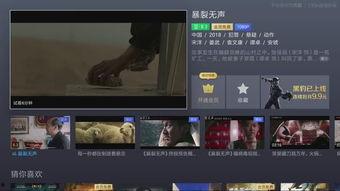 在线观国产高清视频,在线观映，尽享视听盛宴